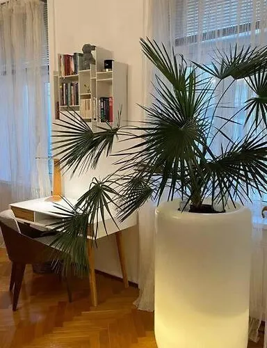 Charmante Innenstadtwohnung Apartment *